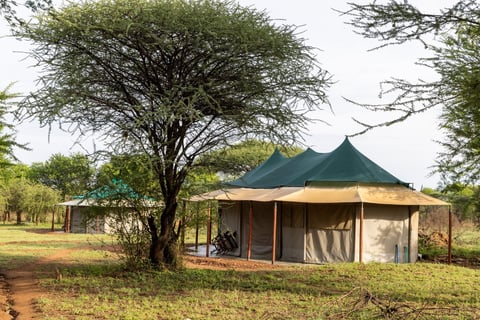 Eco lodge near hippo pool in Serengeti