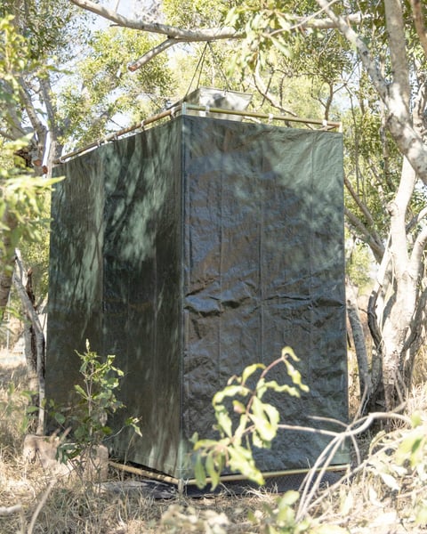 Weathered outdoor shower enclosure made of dark metal sheets suspended between eucalyptus trees in natural brushland setting