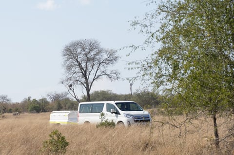 White safari van parked in golden grassland with bare and green trees under cloudy sky
