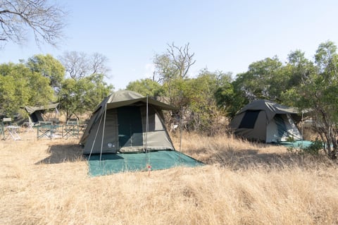 Two safari tents set up in a dry savanna landscape with scattered trees and dried grass during daytime