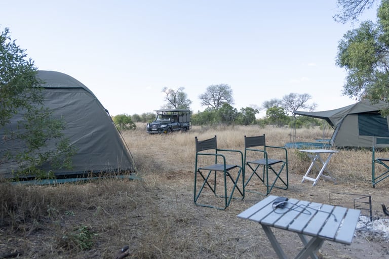 Safari camping setup with canvas tents, folding chairs, and a vehicle parked in an arid African landscape with sparse vegetation and bare trees